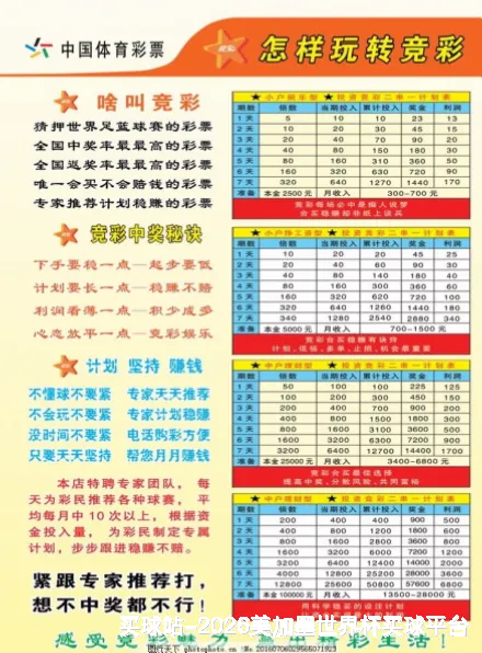 核心团队与专业资质