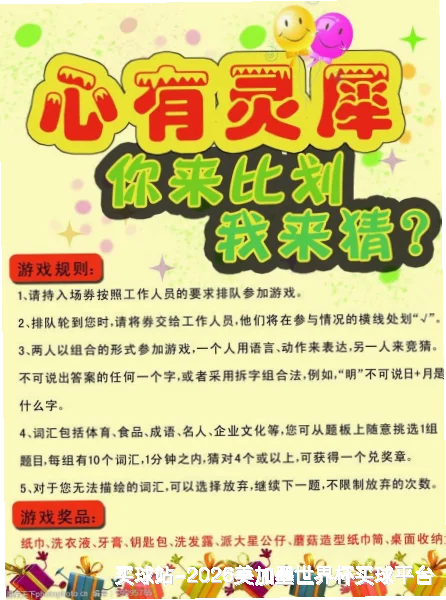 未来愿景与发展方向