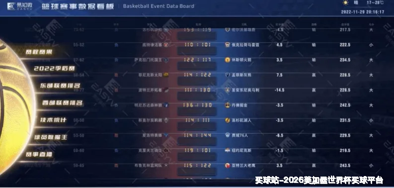 使用指南与风险控制